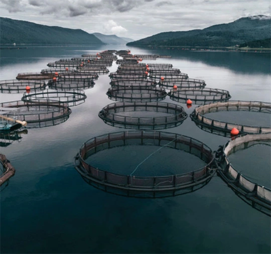 Aquaculture
